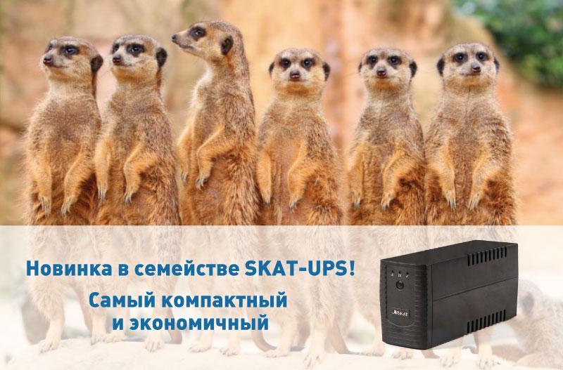 600-350-banner-big.jpg