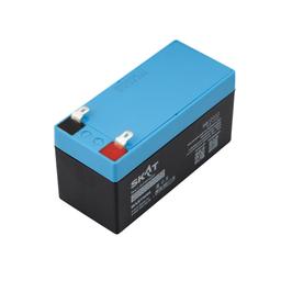 Skat_sb12012 (4).jpg